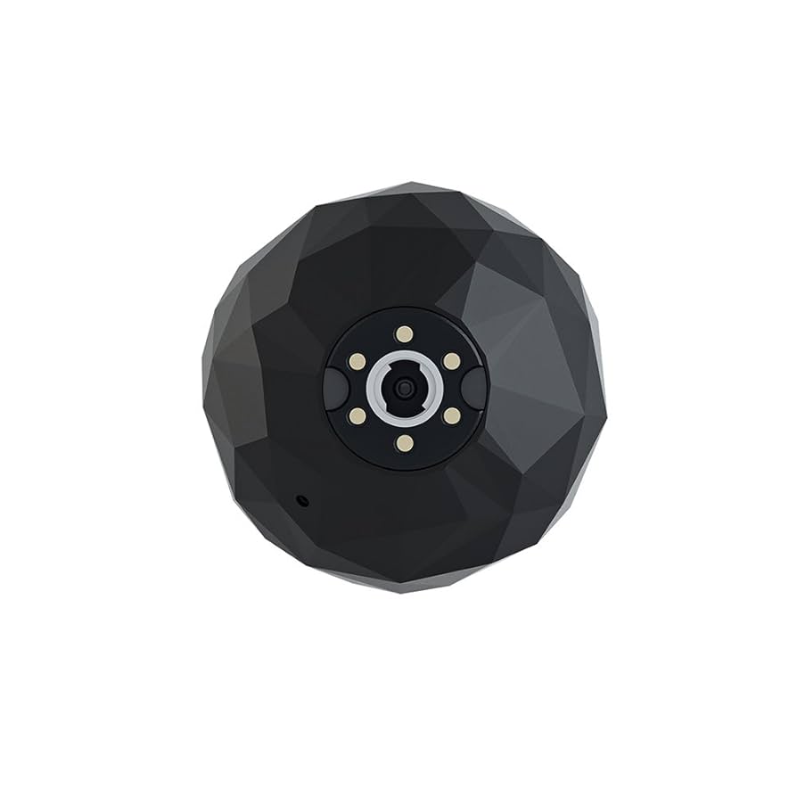 Amazon.com : 360fly 360° HD Video Camera : Electronics